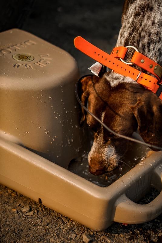 Dash 5 Gallon Water System