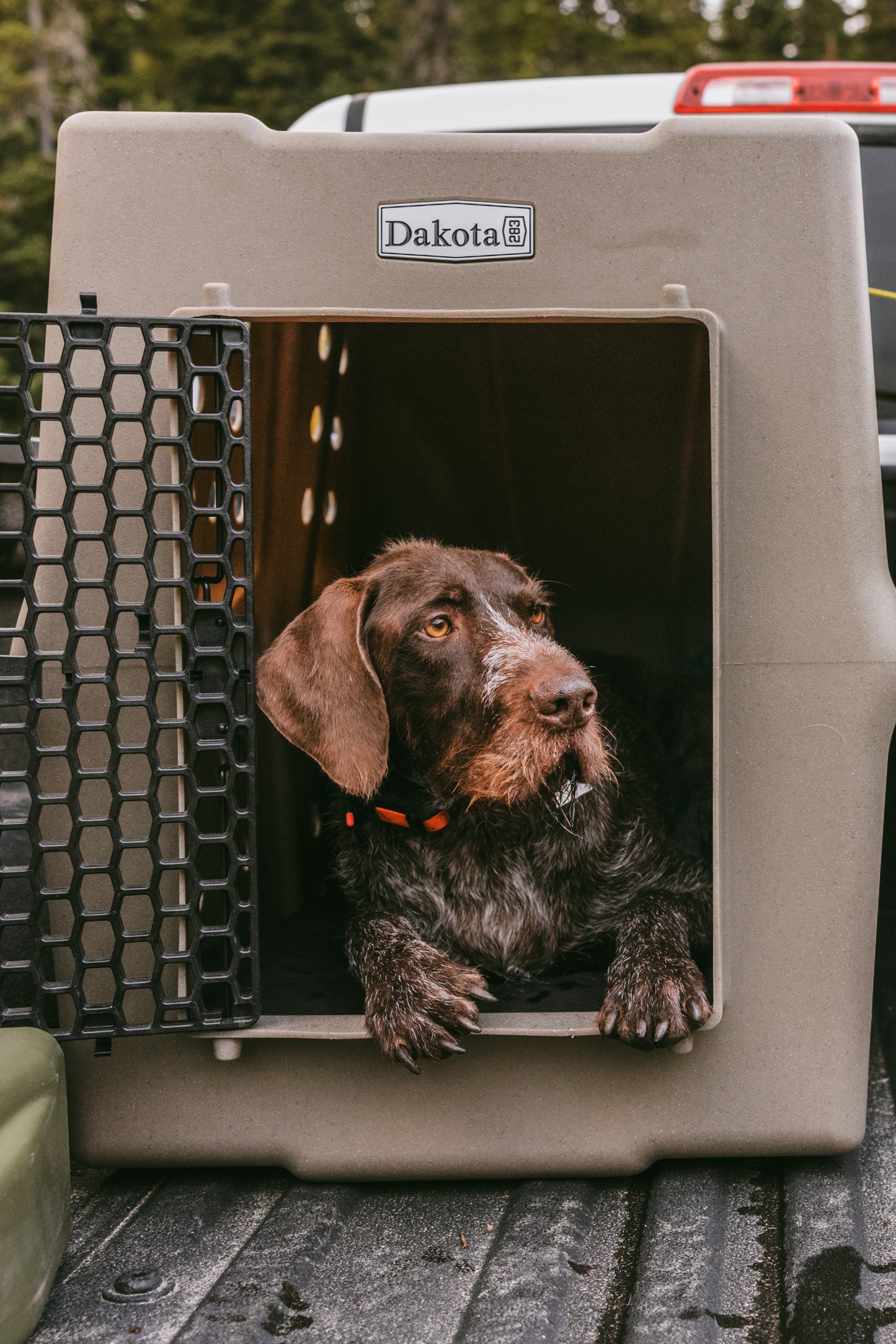 CRaTE – “Canine Rough and Tough Economy” Kennel X-Large