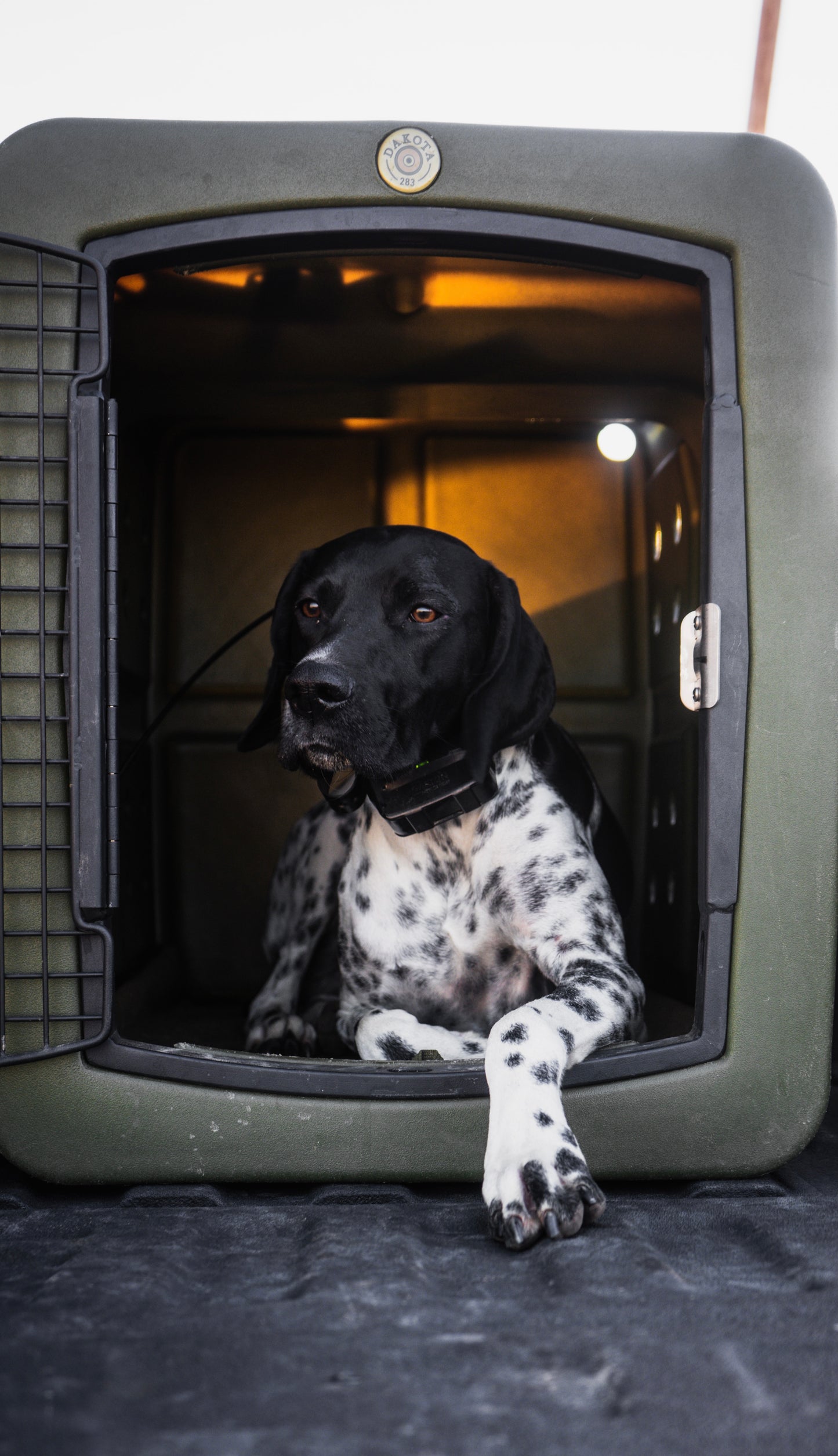 G3 Medium Framed Kennel