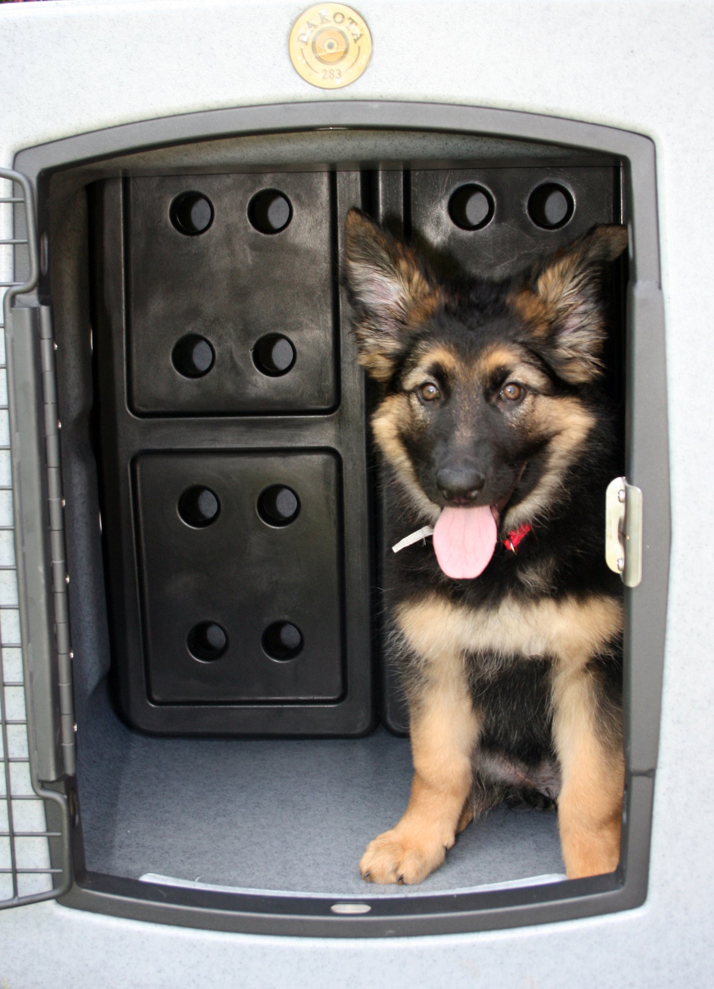 Kennel Insert