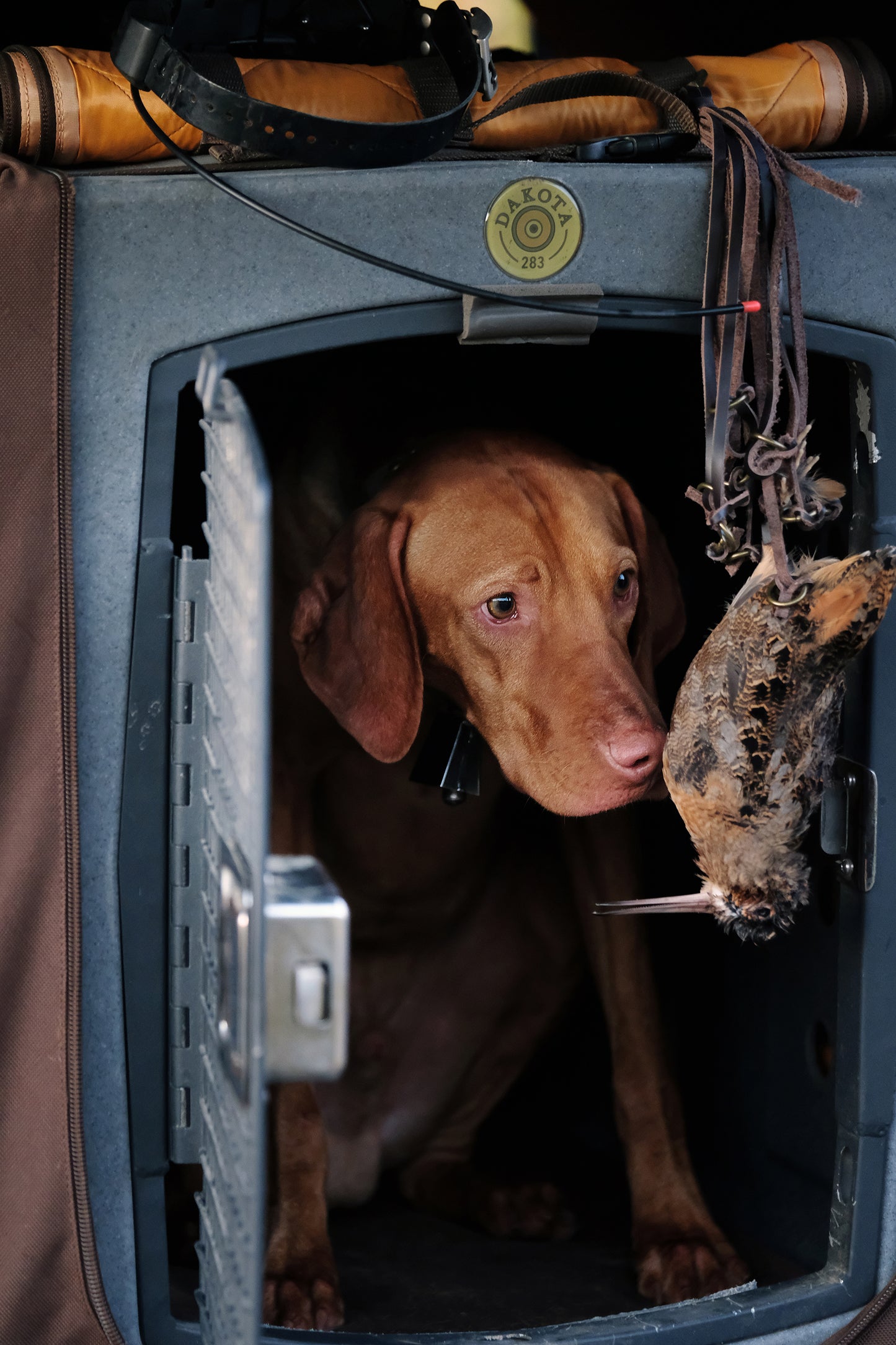 G3 Medium Framed Kennel