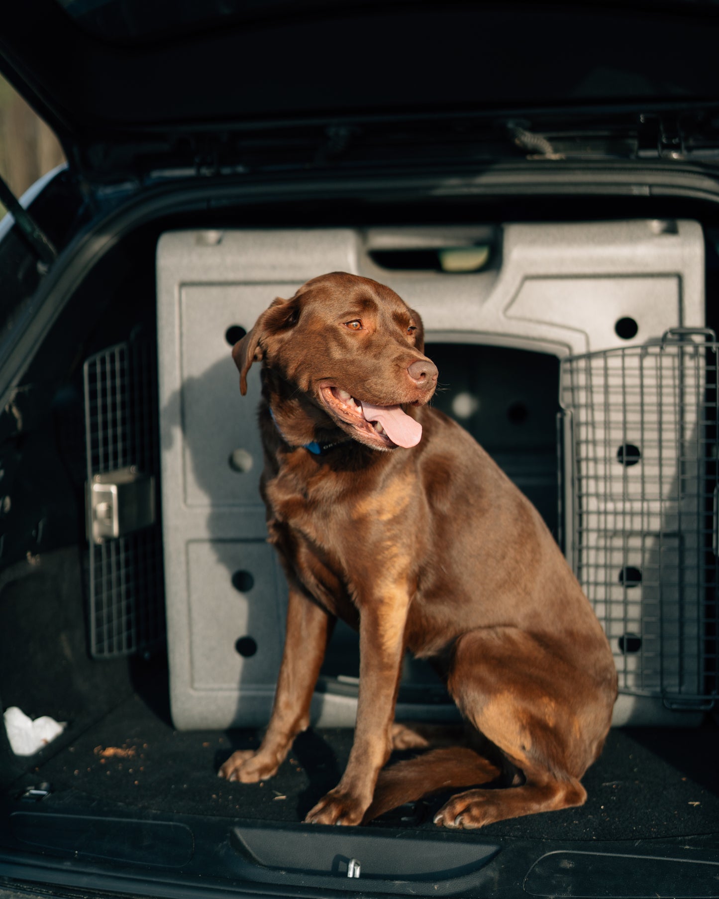 2 Door Side Entry Kennel