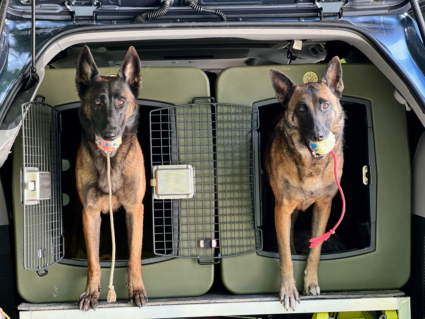 G3 X-Large Framed Kennel