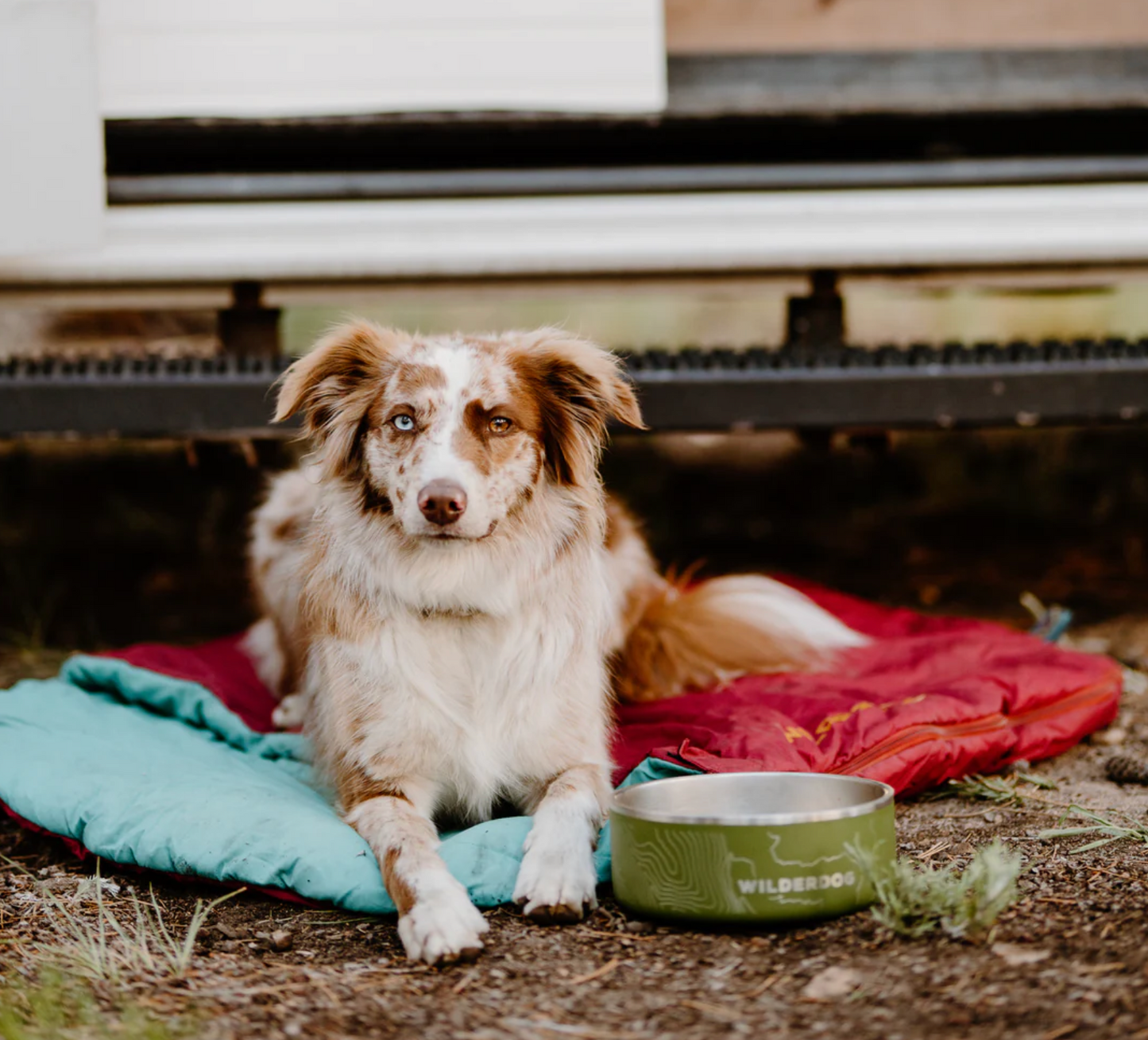 Stainless Steel Dog Bowl
