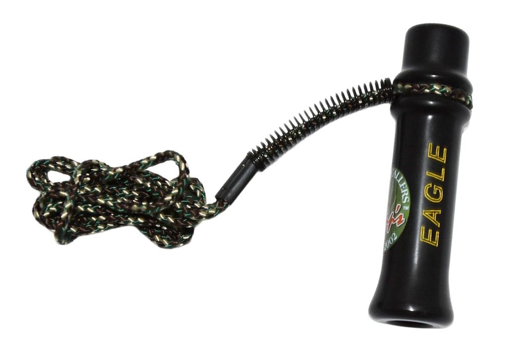 Zepp's Eagle Squaller